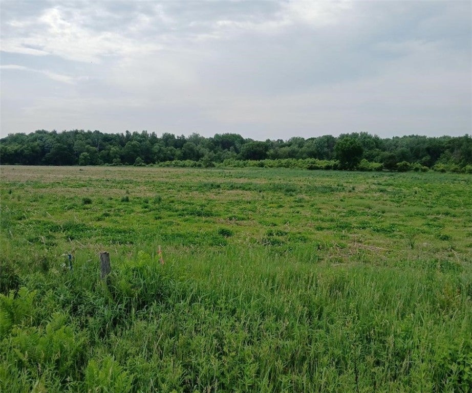 Lot 1 Witte Road, Augusta