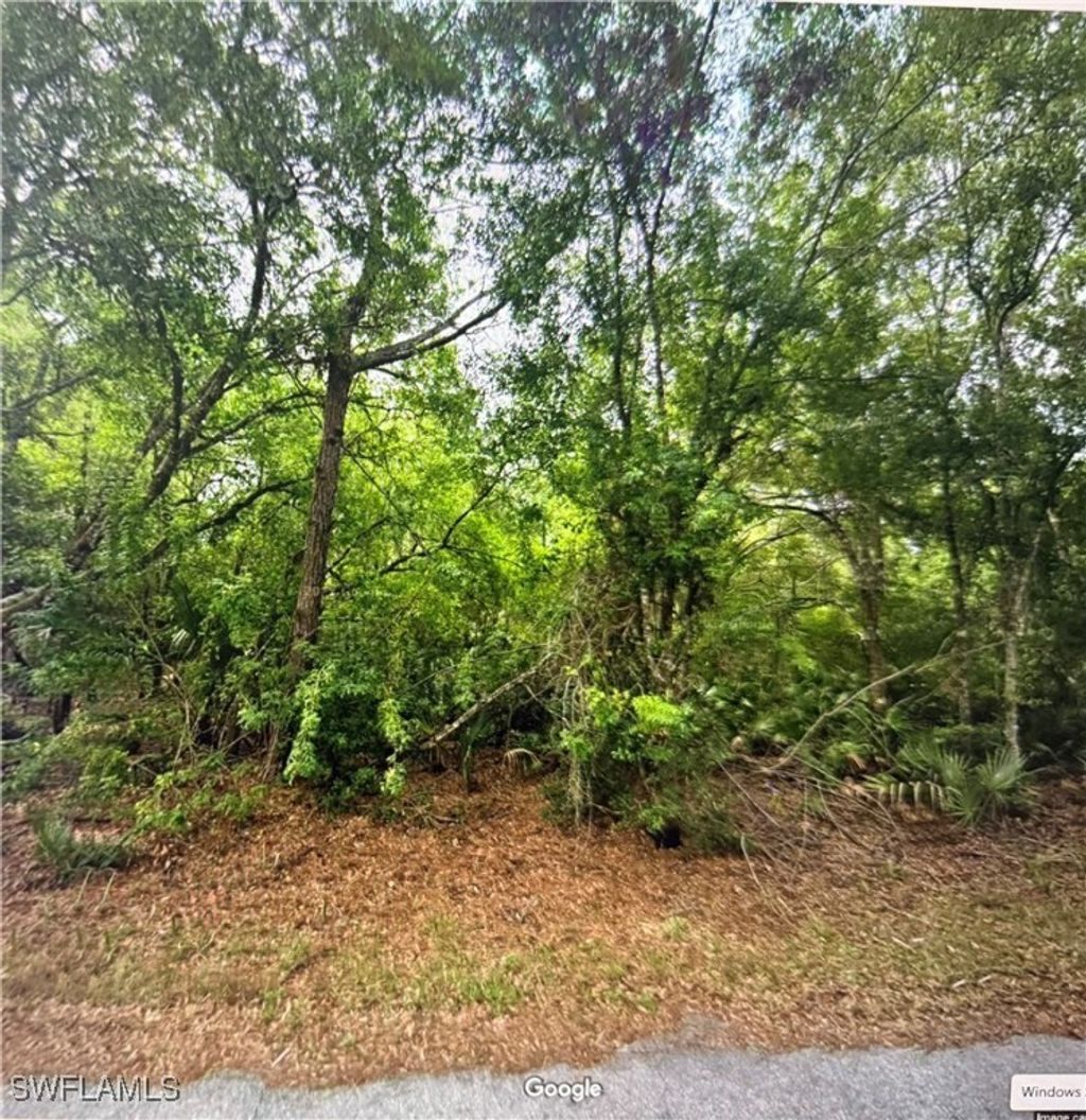 23423 Buckner Ave, PUNTA GORDA