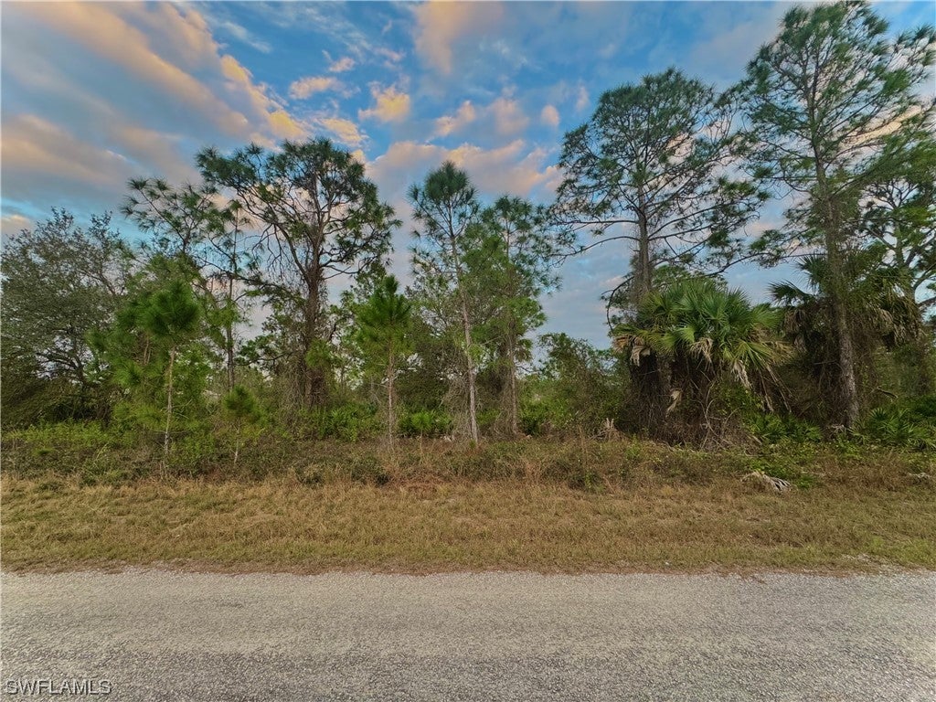 167 Clemson Ave S, LEHIGH ACRES