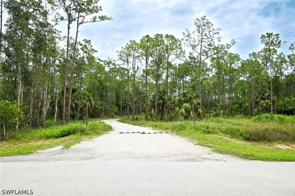 24443 Rocky Rd, Bonita Springs