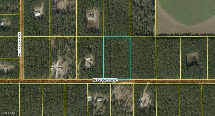 Cordurango Ln Ne, LEE