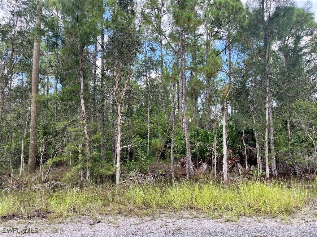 302 Rosanna Ave, LEHIGH ACRES