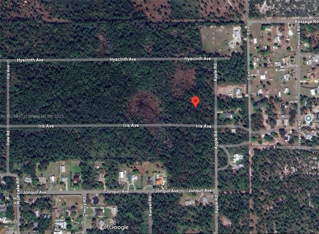 3 of 3 - 910 Iris Avenue, Sebring, FL