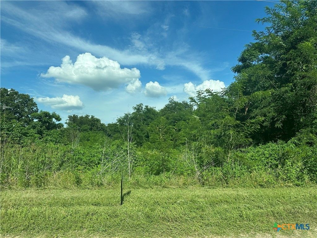 Tbd County Road 287, Marlin