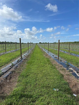 Photo of Listing #A11822395