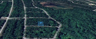 Photo of Listing #A11825888