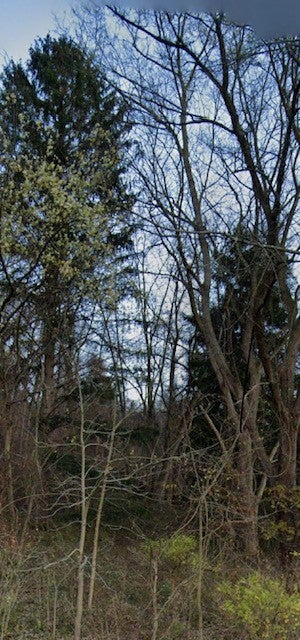 Rt 286 Golden Mile Highway, Plum Boro