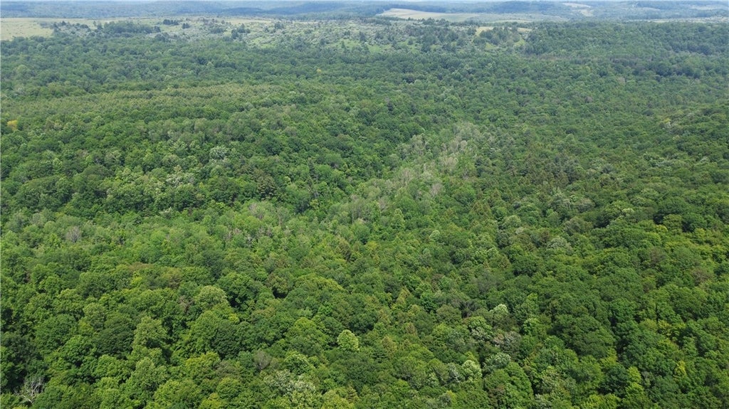 00 Glen Campbell Road, Canoe Banks