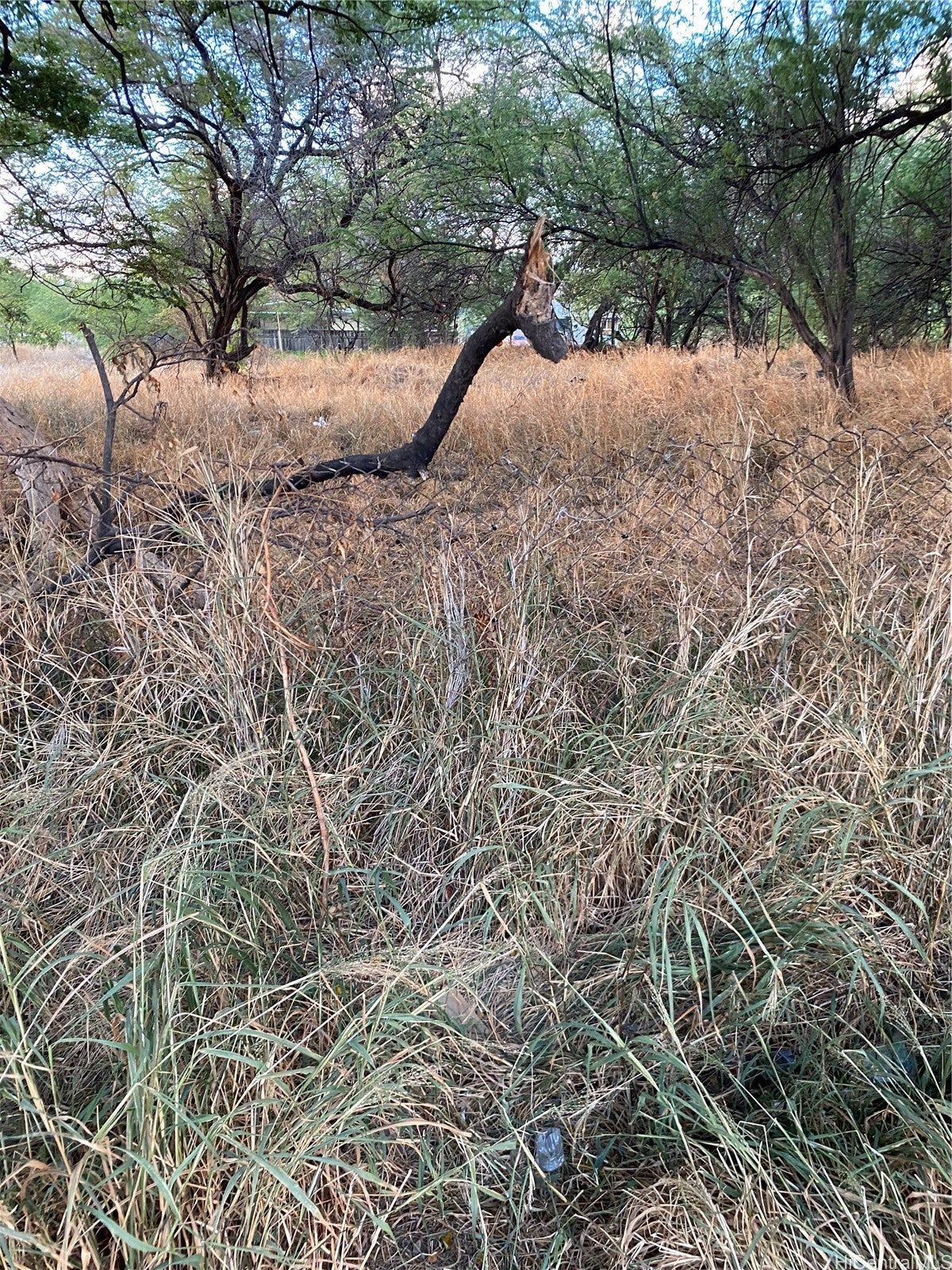 Photo of Listing #202514676