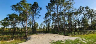 Photo of Listing #A11827666