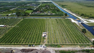 Photo of Listing #A11829269