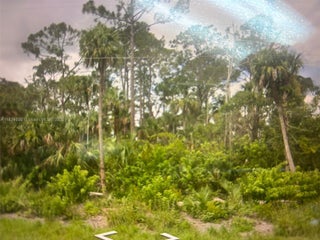 Photo of Listing #A11829500