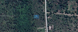 Photo of Listing #A11829918