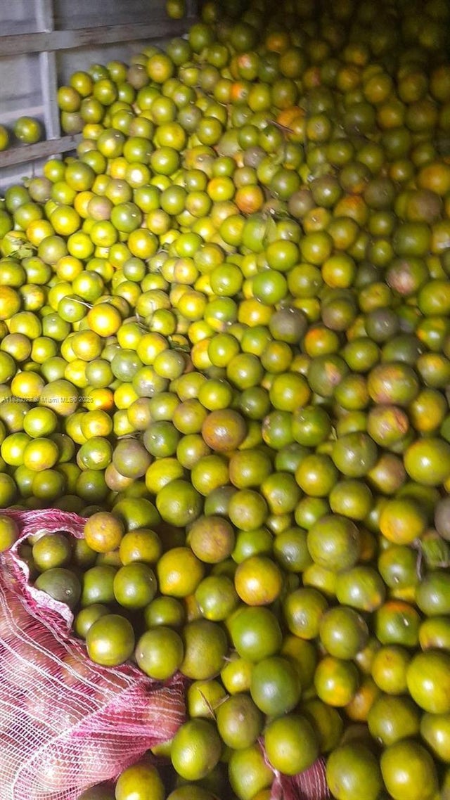 3 of 73 - 25 B Vereda La Higinia, Santa Fe De Antioquia, Colombia, Anza, 