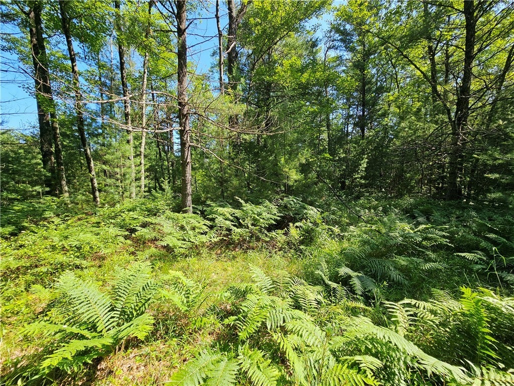 Xxx Potter Road, Black River Falls