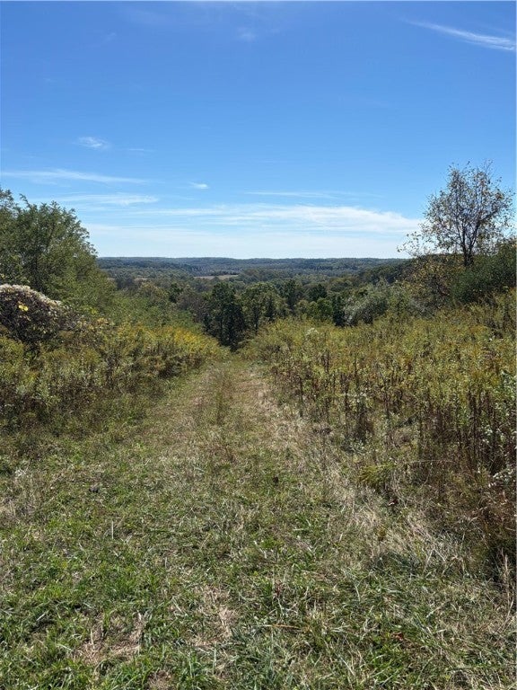 Lot#1 Christie Road, Washington