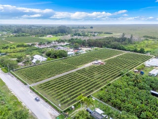 Photo of Listing #A11834239