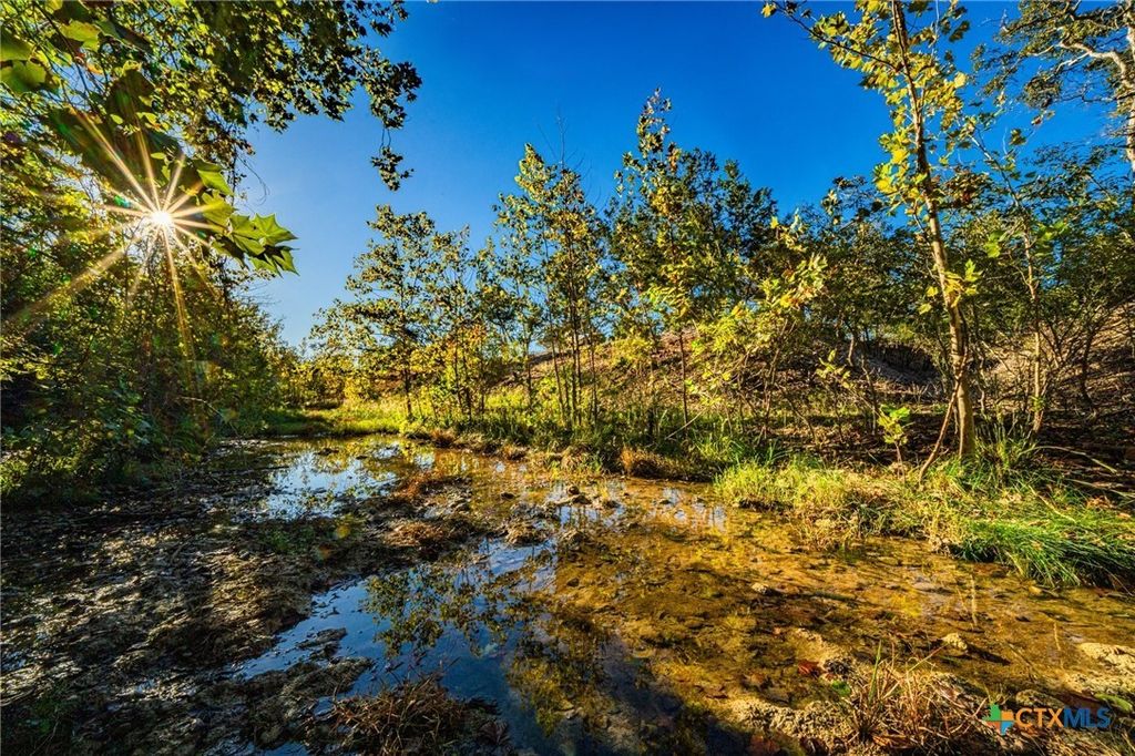 12695 Fm 2843, Salado