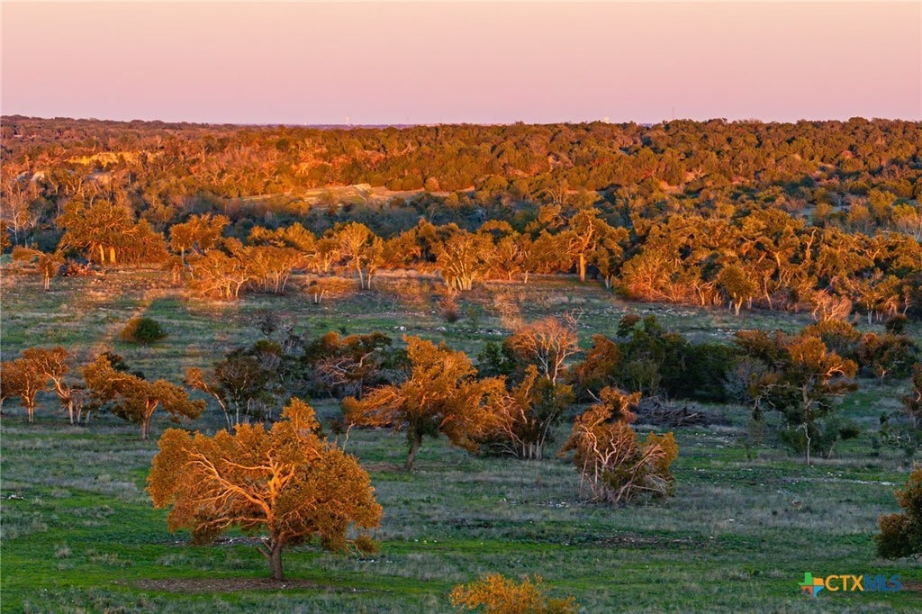 12695 Fm 2843, Salado