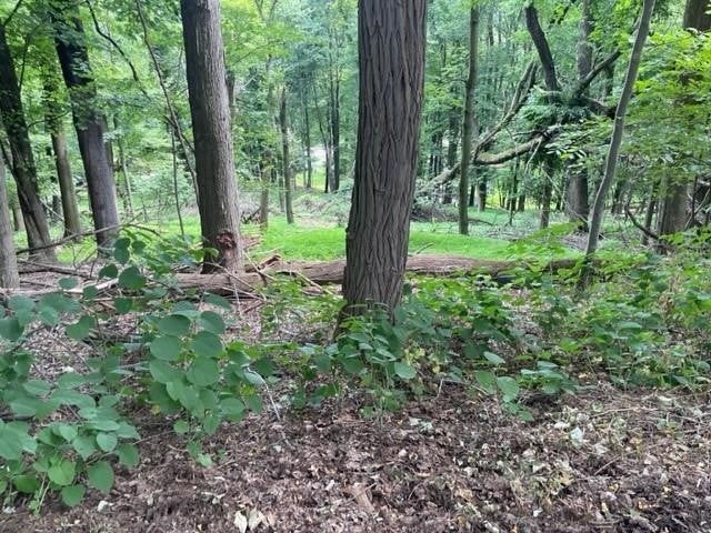 2215 Linwood Drive, Hampton