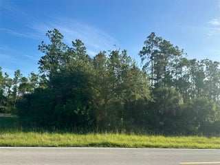 Photo of Listing #A11837084