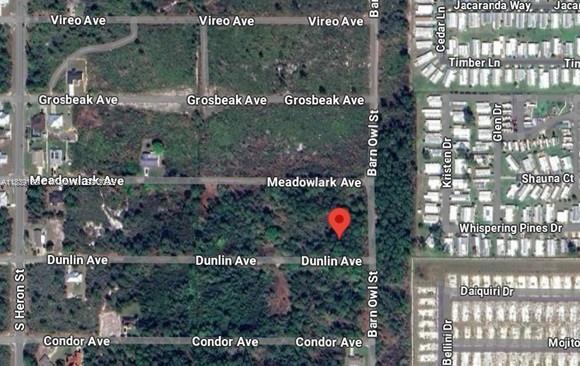 207 Dunlin Ave, Sebring