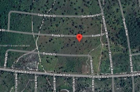 7811 Ronda St, Sebring