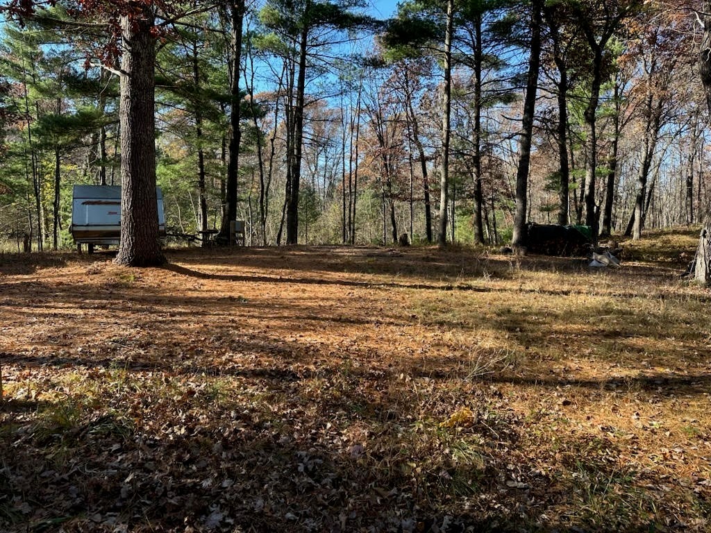 25643 Firefly Lane, Webster