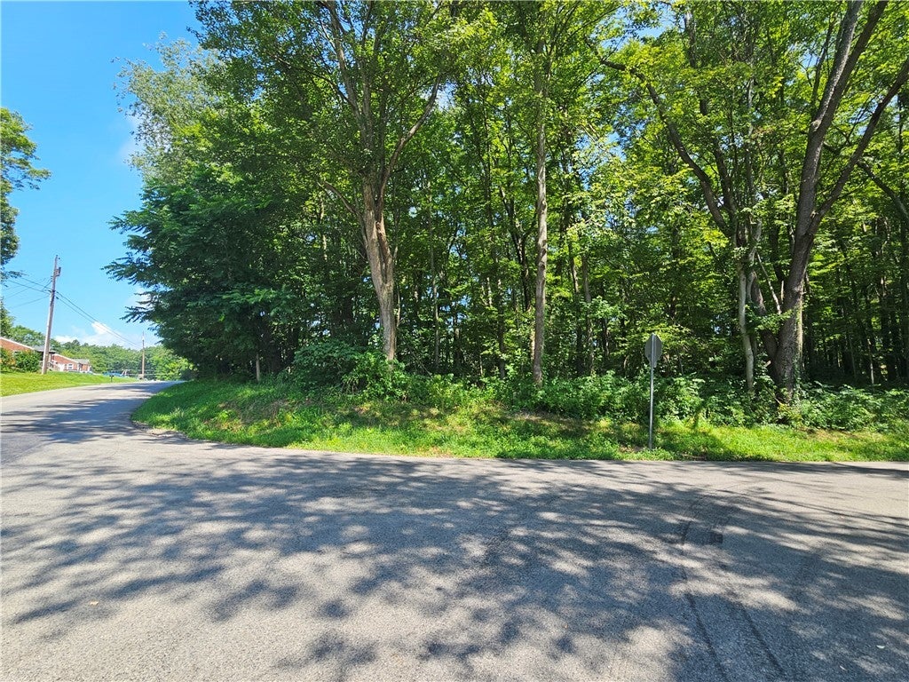 405 Overbrook Road, Middlesex