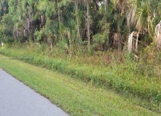 Photo of Listing #A11841089