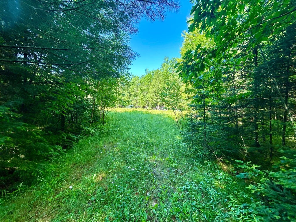 On Johnson Rd # 40 Acres, Crandon