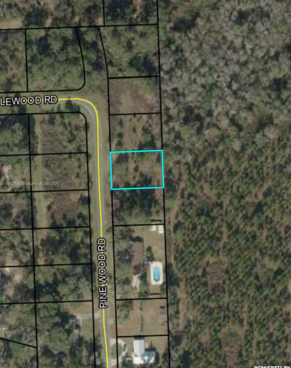 649 Pine Wood Rd, Other