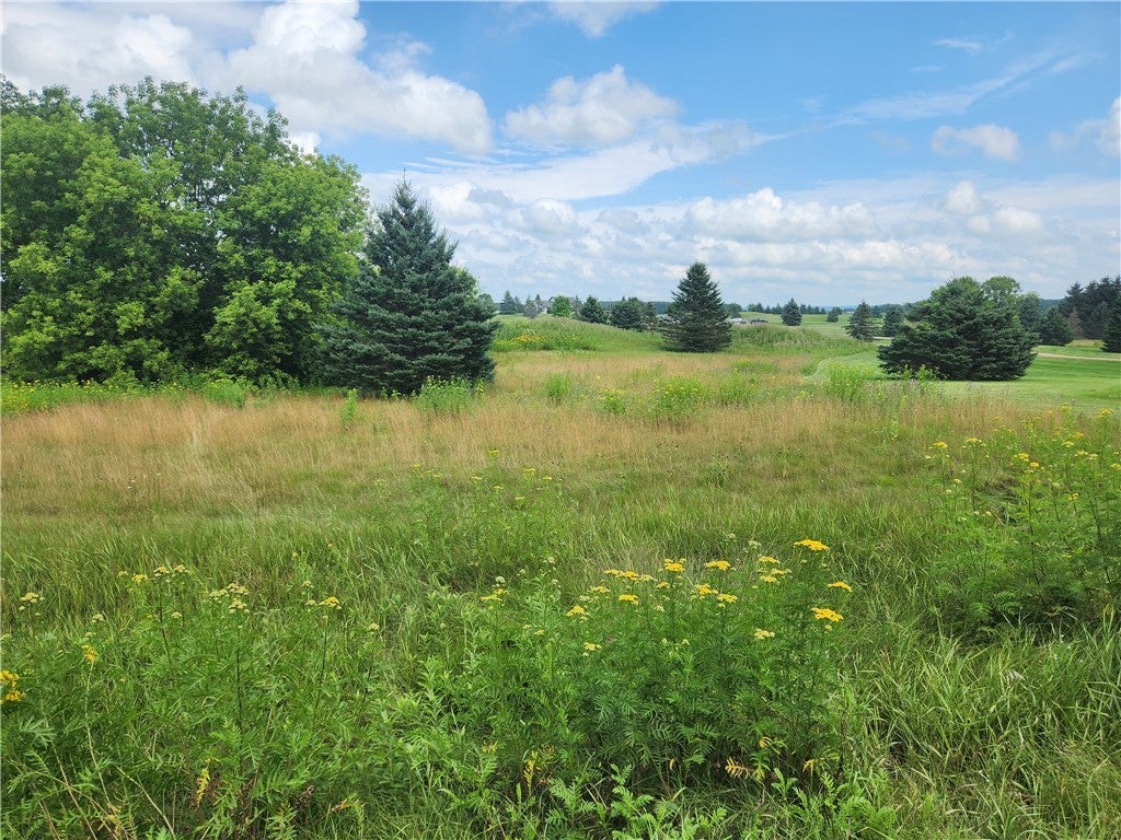 Xxx 20 1/2 Street, Rice Lake