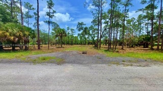 Photo of Listing #A11846675