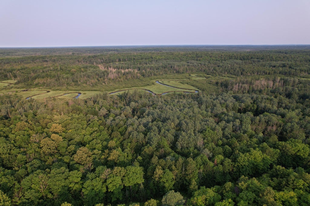 On Griffith Rd # 30 Ac, Butternut