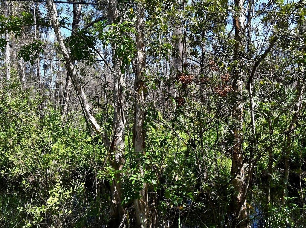 - Dyer Road, Port St Lucie