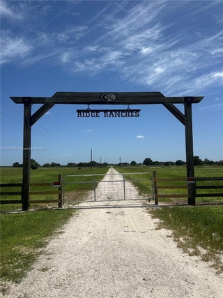 Photo of Listing #A11847361