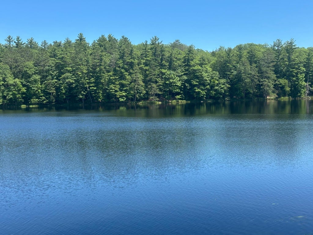 Near Long Lake Rd S Rhinelander - 1120038650 2 A85e656e95a0ba46ff5955aea53f6914 L