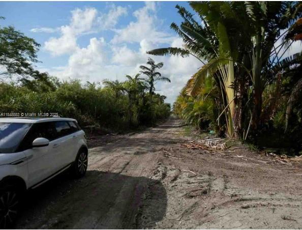Sw 212th Ave, Unincorporated Dade