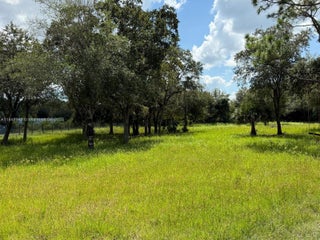 Photo of Listing #A11848942