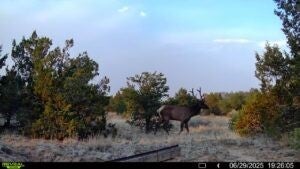 83 Bear Valley Road, Ramah