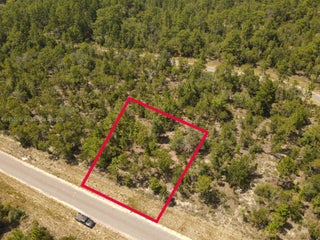 Photo of Listing #A11850010