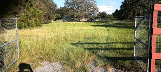 Photo of Listing #A11849504