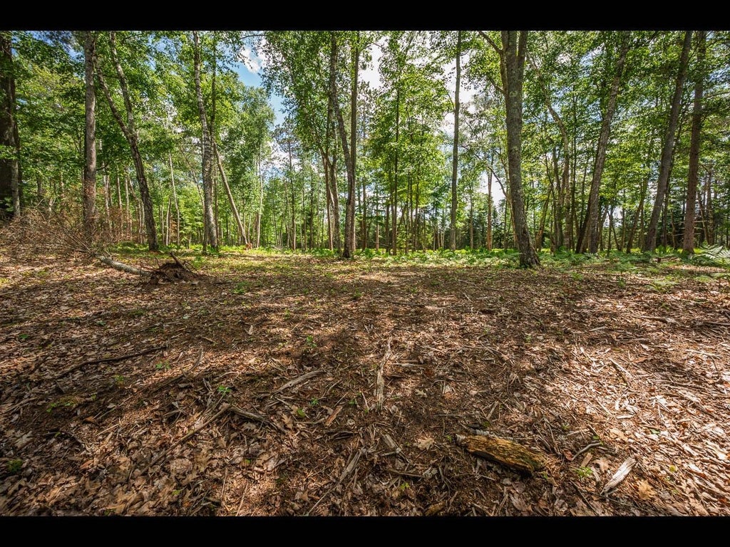 Lot 161 Clearwater Lake Tr Eagle - 1120255364 2 8b56a5eccbcc1e2ba129668222b2ca9f L