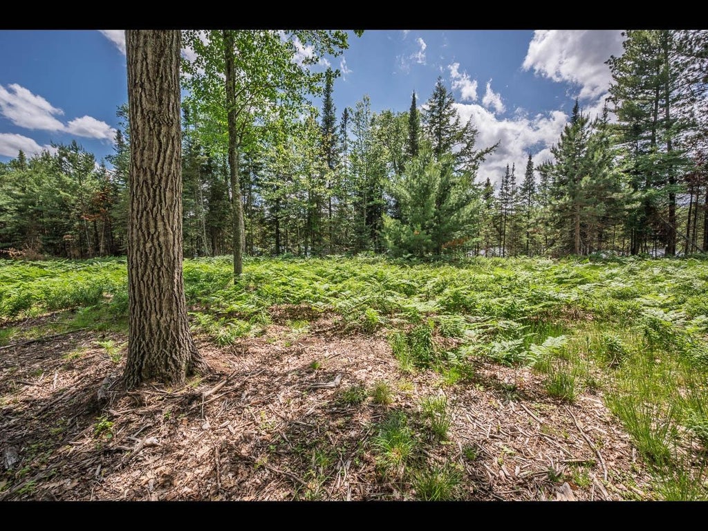 Lot 161 Clearwater Lake Tr Eagle - 1120255364 4 9984523a31d130cf2f439d4a5858b55f L