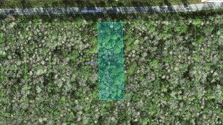 Photo of Listing #A11850794