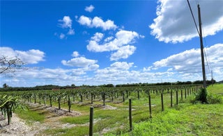 Photo of Listing #A11853883