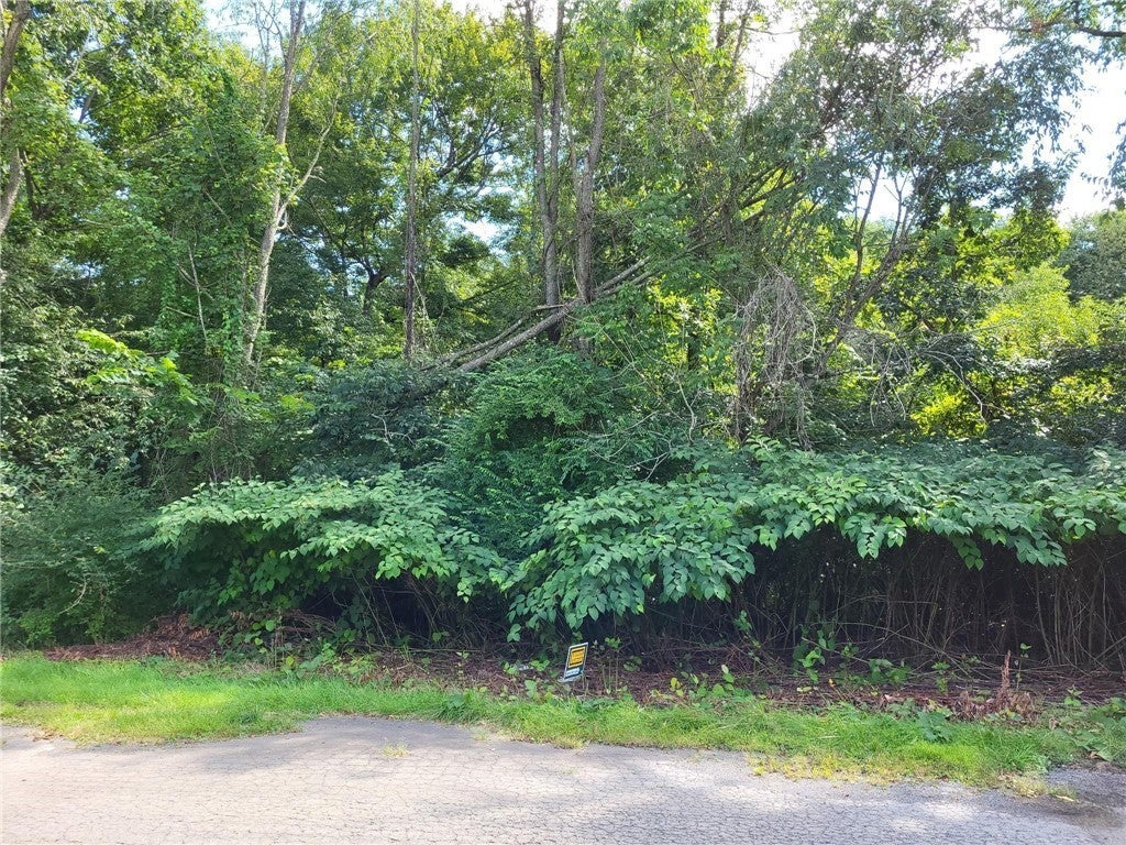 Lot #1 Deshon Road, Shenango