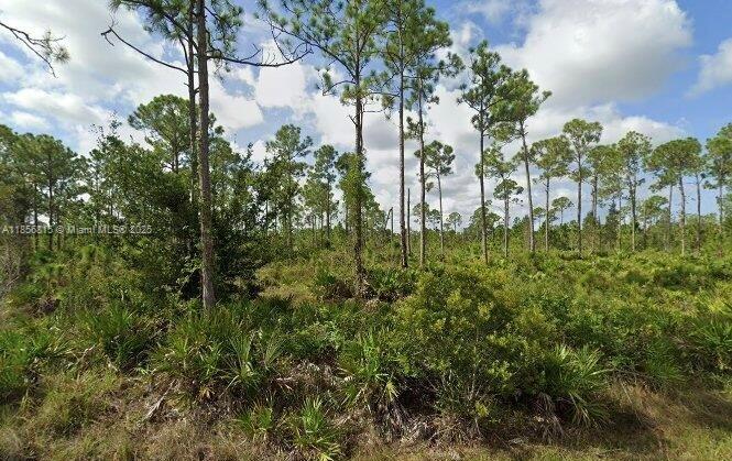 27423 Chrysalis Drive, Punta Gorda