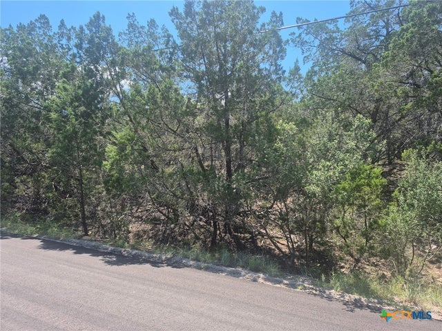 3602 Stillwood Lane, Lago Vista